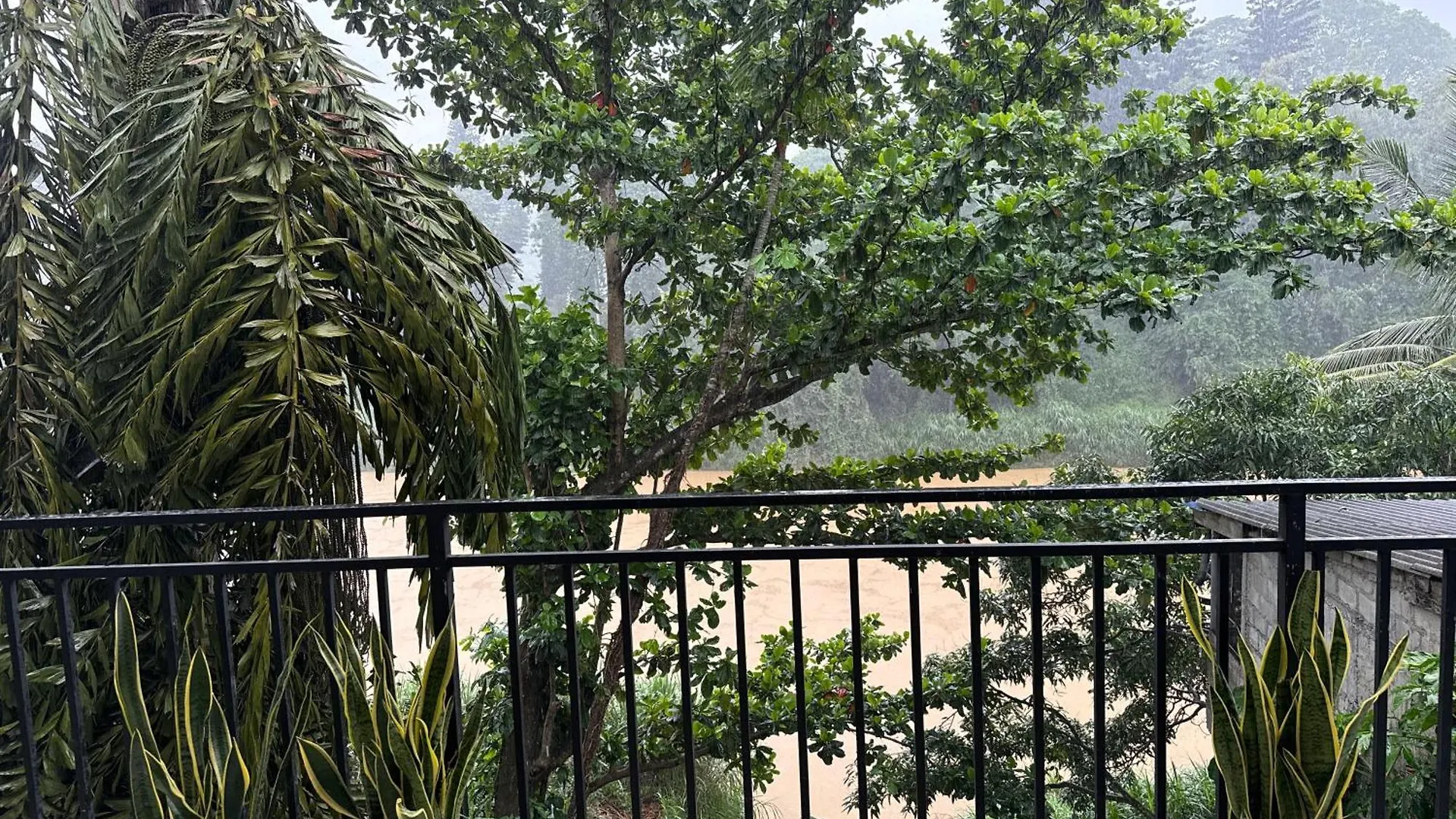 Staylog Peradeniya Kandy